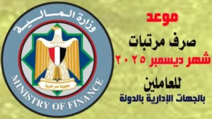 وزارة المالية تُوضح.. موعد صرف مرتبات شهر ديسمبر 2025 في مصر للعاملين بقطاعات الدولة وآليه الصرف